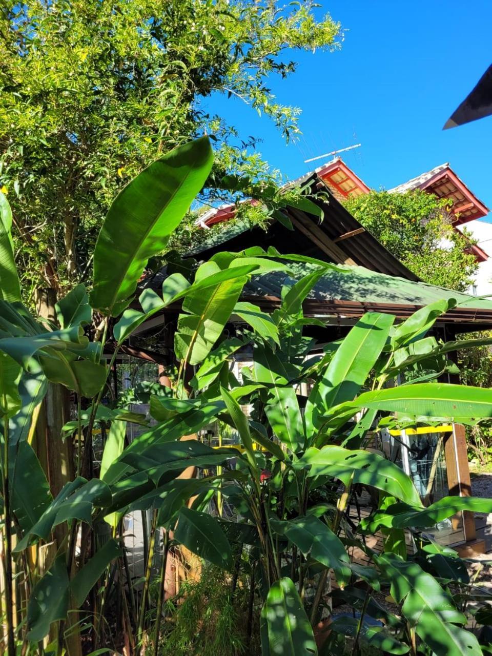 Recanto Dos Bambus Pousada Florianópolis Exterior foto