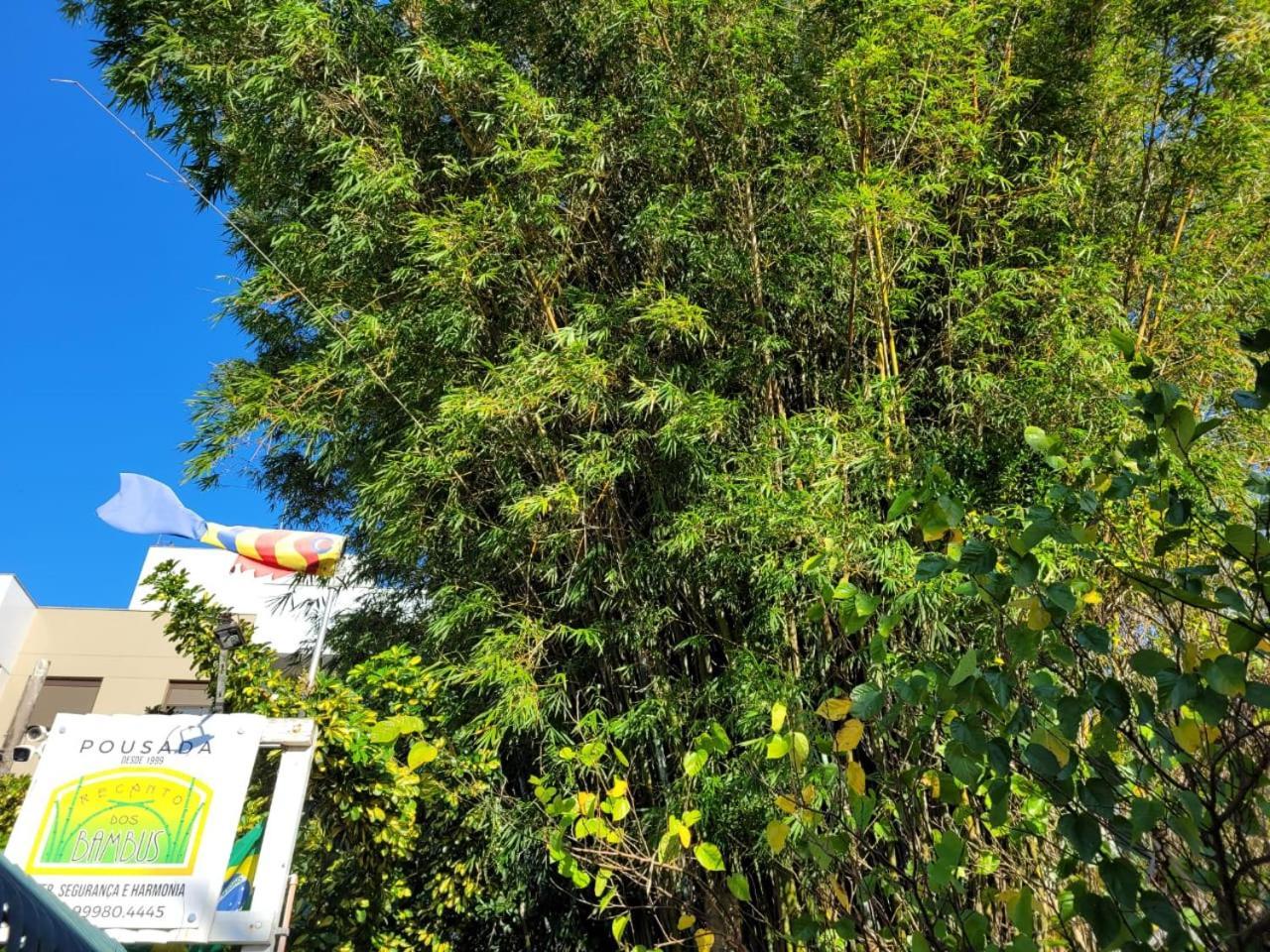 Recanto Dos Bambus Pousada Florianópolis Exterior foto